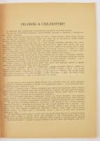 Lendl Adolf: Hősökfalva. Bp., 1916, Athenaeum. Papírkötésben, jó állapotban. + Az aradi polgármester...