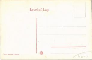 Borsi, Borsa; II. Rákóczi Ferenc szülőháza és a kassai dómban lévő nyugvóhelye. Radó Béláné kiadása ...