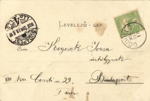 1902 Gödöllő, Királyi kastély parkja. Kiadja Nemesánszky Józsefné (fl)