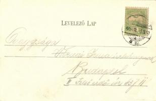 1905 Verőce, Nógrádverőce; Duna-part (EK)