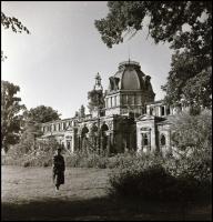 Budapesti negatívok tétele, 13 db vintage negatív felvétel, amelyek eltérő időben és változó helyszí...