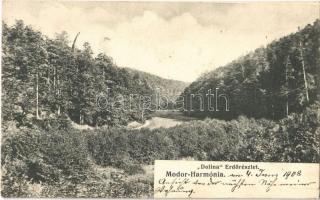 1908 Modor-Harmónia, Modra; Dolina erdő. Levius S.P. kiadása / forest (fl)