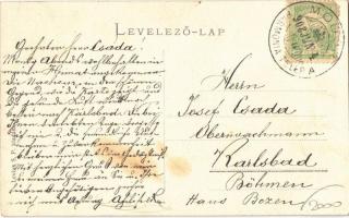 1908 Modor-Harmónia, Modra; Dolina erdő. Levius S.P. kiadása / forest  (fl)