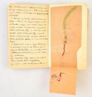 cca 1895-1925 Schafarzik Ferenc (1854-1927) geológus naplói Déchy Mórral közös kaukázusi expedíciójá...