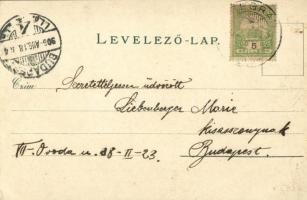 1906 Visegrád, látkép a Salamon-toronyból. Zoller József 86. (apró szakadás / tiny tear)