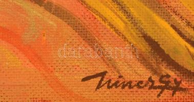 Hincz jelzéssel: Kompozíció. Olaj, farost, 42×61 cm