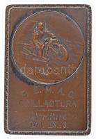 1928. B.É.M.A.C. Csillagtúra - Mátrafüred 1928. IX. 9. egyoldalas, motoros Br plakett (61x41mm/61,76g) T:2 / Hungary 1928. B.É.M.A.C. Csillagtúra - Mátrafüred 1928. IX. 9. one-sided, motorcyclist Br plaque (61x41mm/61,76g) C:XF