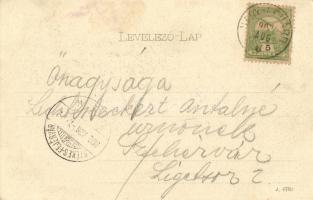 1902 Pozsony, Pressburg, Bratislava; vár. Kiadja Duschinsky G.  / castle (ázott sarok / wet corner)