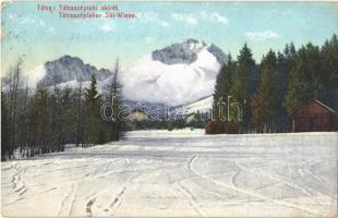 Tátraszéplak, Tatranska Polianka, Westerheim (Magas-Tátra, Vysoké Tatry); sírét (skirét) / Ski Wiese / ski meadow, winter sport (EK)