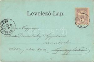 1900 Sátoraljaújhely, este. Landesmann Miksa és Társa kiadása