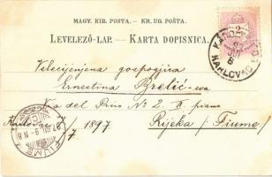1897 (Vorläufer!) Károlyváros, Karlovac, Carlostadio, Karlstadt; Heinrich krapek's Art Nouveau,...