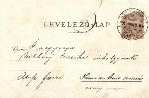 1901 Máriaradna, Radna (Lippa, Lipova); kegytemplom, búcsújáróhely. Kiadja Fischer G. / pilgrimage c...