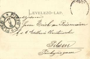 1898 Temesvár, Timisoara; Józsefvárosi Takarékpénztár. Moravetz Gyula kiadása / Temesvár-Josefstädte...