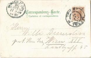 1899 Trieste, Trieszt; Port at night. Regel & Krug Art Nouveau, floral, litho (EB)