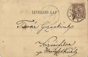 1900 Nagyszeben, Hermannstadt, Sibiu; látkép, Evangélikus templom. Verlag v. Georg Meyer / general v...