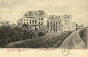 1899 Arad, Törvényszéki palota. Kiadja Bloch H. nyomdája / court palace