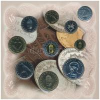 1998. 50f-200Ft (10xklf) forgalmi sor dísztokban + 1998. 100Ft alpakka "1848-1849. Szabadsághar...