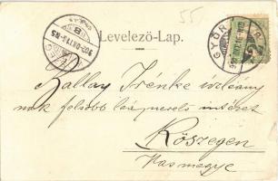 1902 Győr, Győri Munkásgyermek Menhely ünnepélye, művészlap. Carl Otto Hayd Kunstanstalt. Art Nouvea...