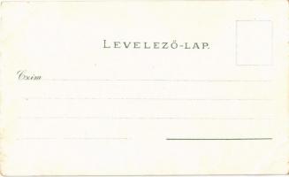 Győr, Új városháza, Sziget, Regatta pavilon. Szőlős szecessziós lap. Mehner & Maas No. 3687. Art...