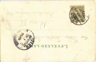 1902 Győr, Új városháza, címer. Röszler Károly litho (fa)