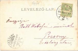 1904 Győr, kastély. photo (EK)