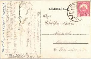 Győr, Németh Alajos bor-sör csarnoka a Platánhoz, vendéglő, étterem, kert, pincér. Kiadják a Hermann...