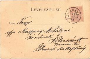 1899 Előpatak, Valcele; Otroban villa és Lobogó fürdő / spa and villa (EK)