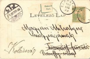 1904 Előpatak, Valcele; Gidófalvy villa / villas