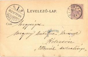 1900 Előpatak, Valcele; tornapálya / Turnplatz / place des exercices gymnastiques / place for gymnas...