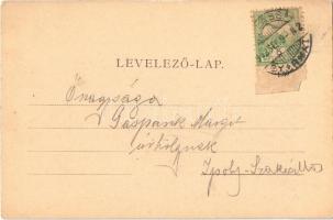 1902 Balassagyarmat, Római katolikus templom, városháza, hitelintézet, Himmler Bertalan üzlete. Haly...