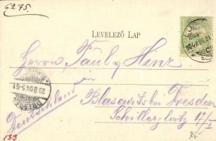 1904 Lugos, Lugoj; Temes híd, bank. Kiadja Weisz és Sziklai / Timis river bridge, bank