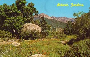 Santa Barbara botanikus kert, C