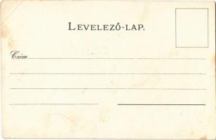 Seiffensteiner Salamon / Jewish vendor. Humorous Judaica art postcard. Athenaeum litho (EK)