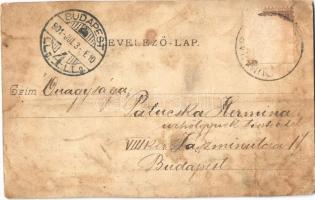 1901 Dunaharaszti, Haraszti; (Budapest Helyiérdekű Vasút) BHÉV vasútállomás. Divald Károly (fa)