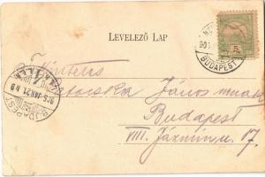 1905 Szerencs, pályaudvar, vasútállomás, lovaskocsi. Gödör Sándor kiadása (EK)