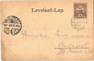 1901 Füzesabony, vasútállomás, Szabadság szobra Berek erdőben. Art Nouveau, floral (EK)