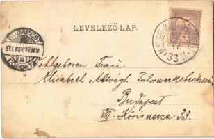 1900 Szerencs, vasútállomás. Gönczy Mihály kiadása + "M.SZIGET-MISKOLCZ-BUDAPEST 33. SZ." ...