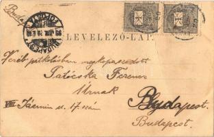 1899 Zólyom, Zvolen; vár, Fő utca. Ivánszky Elek kiadása / castle, main street. Art Nouveau, floral