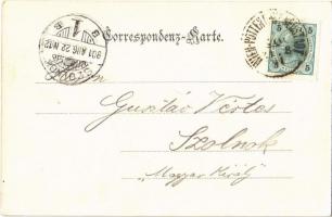 1901 Ebreichsdorf, Hauptplatz, Alt Ebreichsdorf, Kirche, Notariat. L. Holzmann / main square, church...