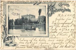 1898 Hohenstein-Ernstthal, Schmidts Teich / lake, factory. Art Nouveau, floral (EK)