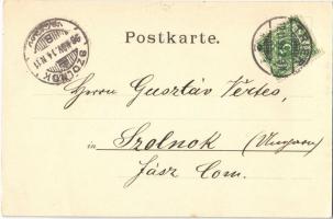 1898 Trier, Kaiser Palast, Blick vom Petersberg, Der Dom / palace, dome. Art Nouveau, floral