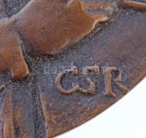 Csíkszentmihályi Róbert (1940-) 2006. "Stróbl Alajos 1856-1926 / Szent István 1906 MÉE-ÉKE 2006...