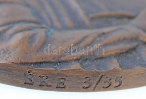 Csíkszentmihályi Róbert (1940-) 2006. "Stróbl Alajos 1856-1926 / Szent István 1906 MÉE-ÉKE 2006...