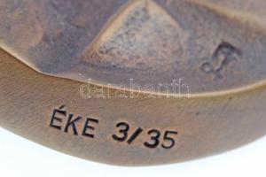 Farkas Ferenc (1958- ) 2007. "Rodin" egyoldalas, öntött Br emlékérem, az ÉKE tagsági érme,...