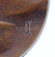 Farkas Ferenc (1958- ) 2007. "Rodin" egyoldalas, öntött Br emlékérem, az ÉKE tagsági érme,...