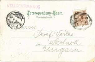 1899 Sonnwendstein-Gipfel. G. Lindner No. 1848. floral, litho