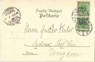 1898 Celle, Schloss, Rathaus, Markt, Krieger Denkmal, Petersburg, Karolinen Mathilden Denkmal / cast...