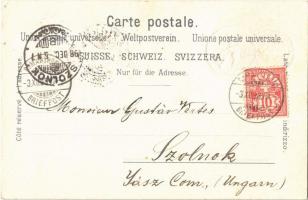 1898 Weinfelden, Thurgauische Centenarfeier, Festplatz, Rathaus, Schloss / Thurgau Centenary celebra...
