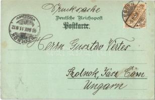 1898 Essen, Rathaus, Theater / theatre, town hall. cannon. Kunstanstalt Rosenblatt Art Nouveau, flor...
