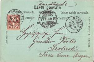 1898 Albisbrunn, Bad / spa hotel. Carl Künzli Art Nouveau, floral, litho